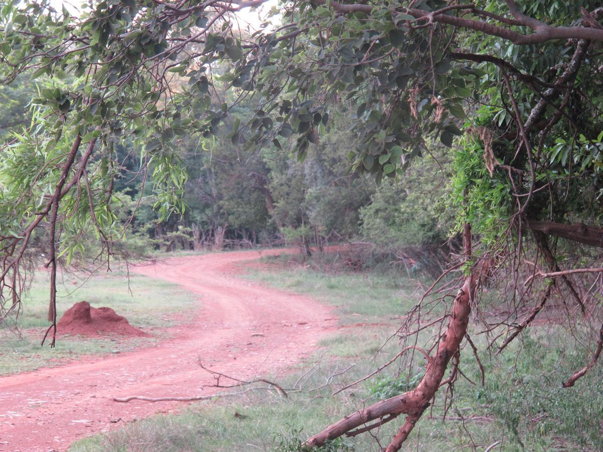 Harties Is Africa Safari Lodge Kosmos Esterno foto