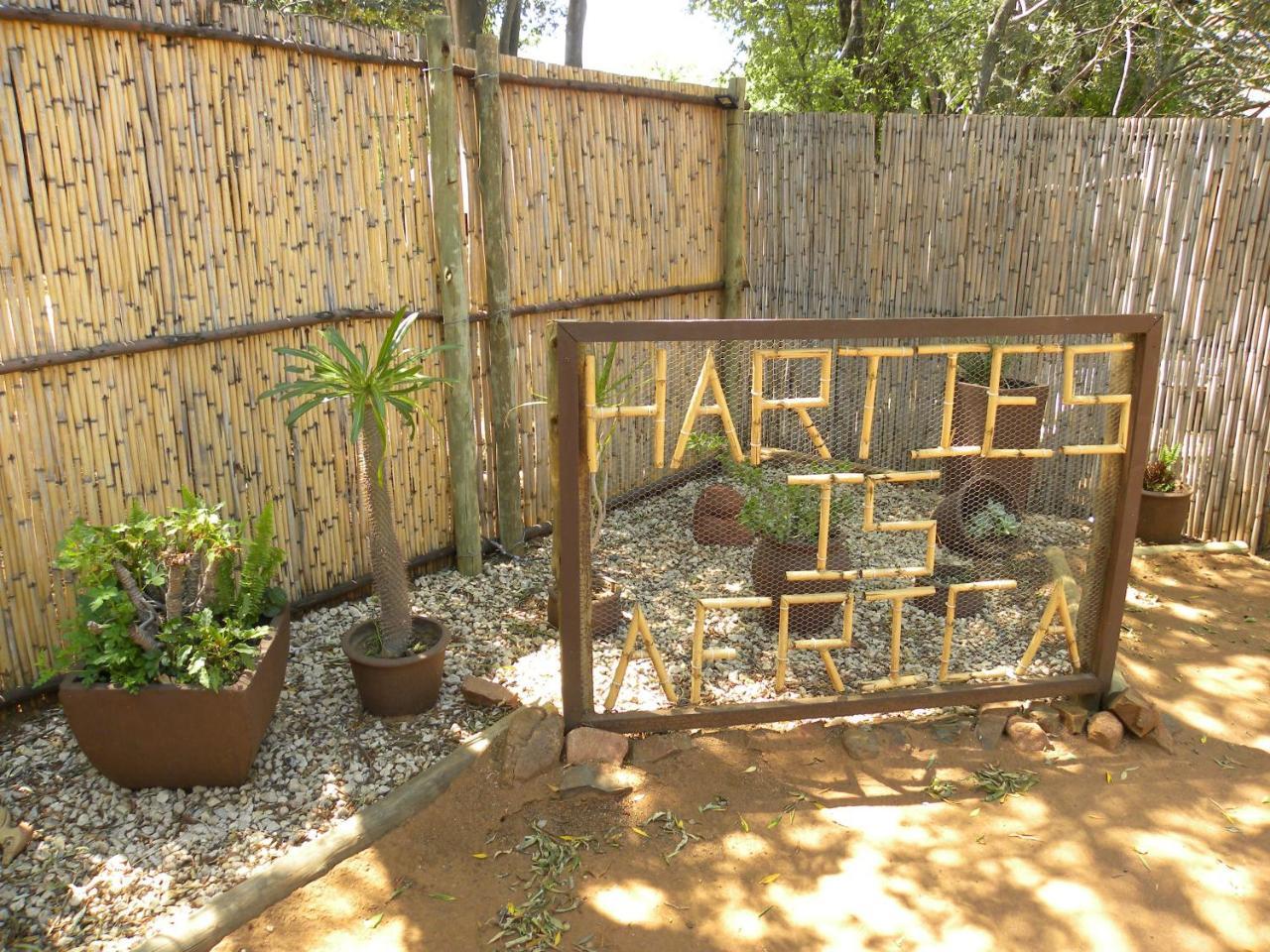 Harties Is Africa Safari Lodge Kosmos Esterno foto