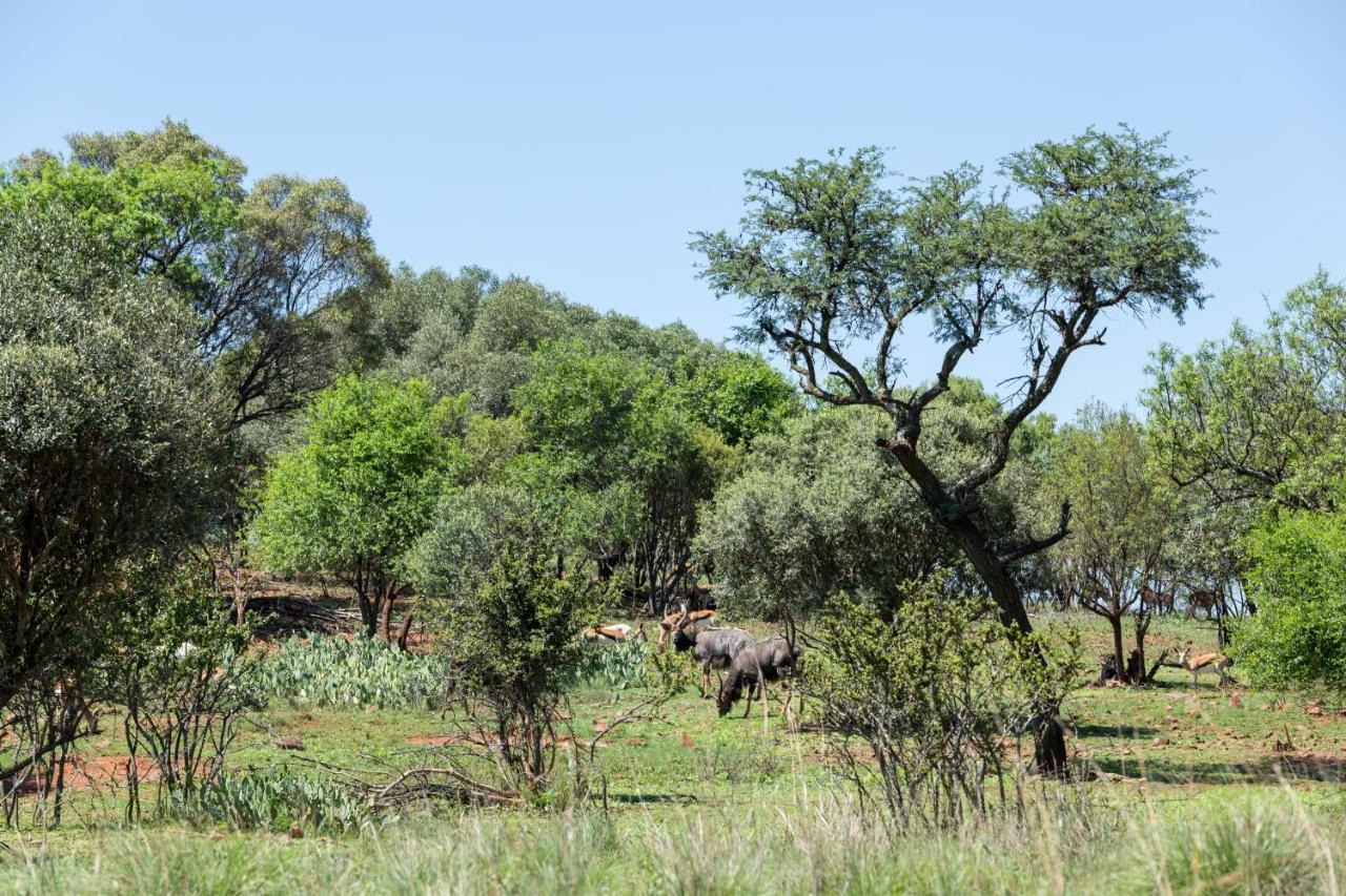 Harties Is Africa Safari Lodge Kosmos Esterno foto