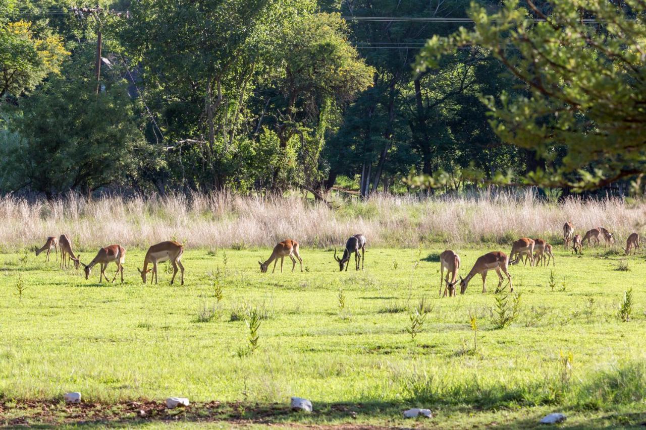 Harties Is Africa Safari Lodge Kosmos Esterno foto