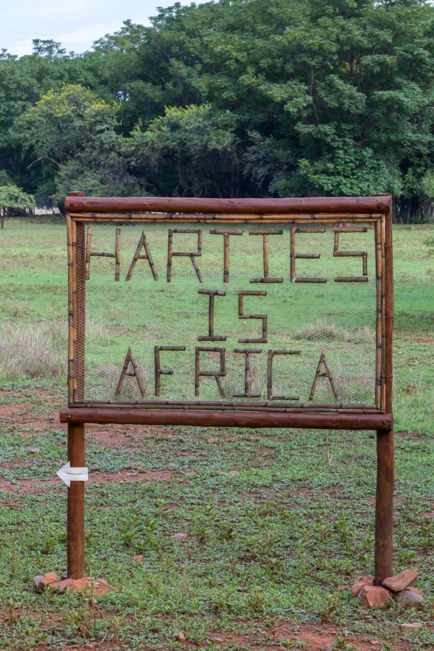 Harties Is Africa Safari Lodge Kosmos Esterno foto